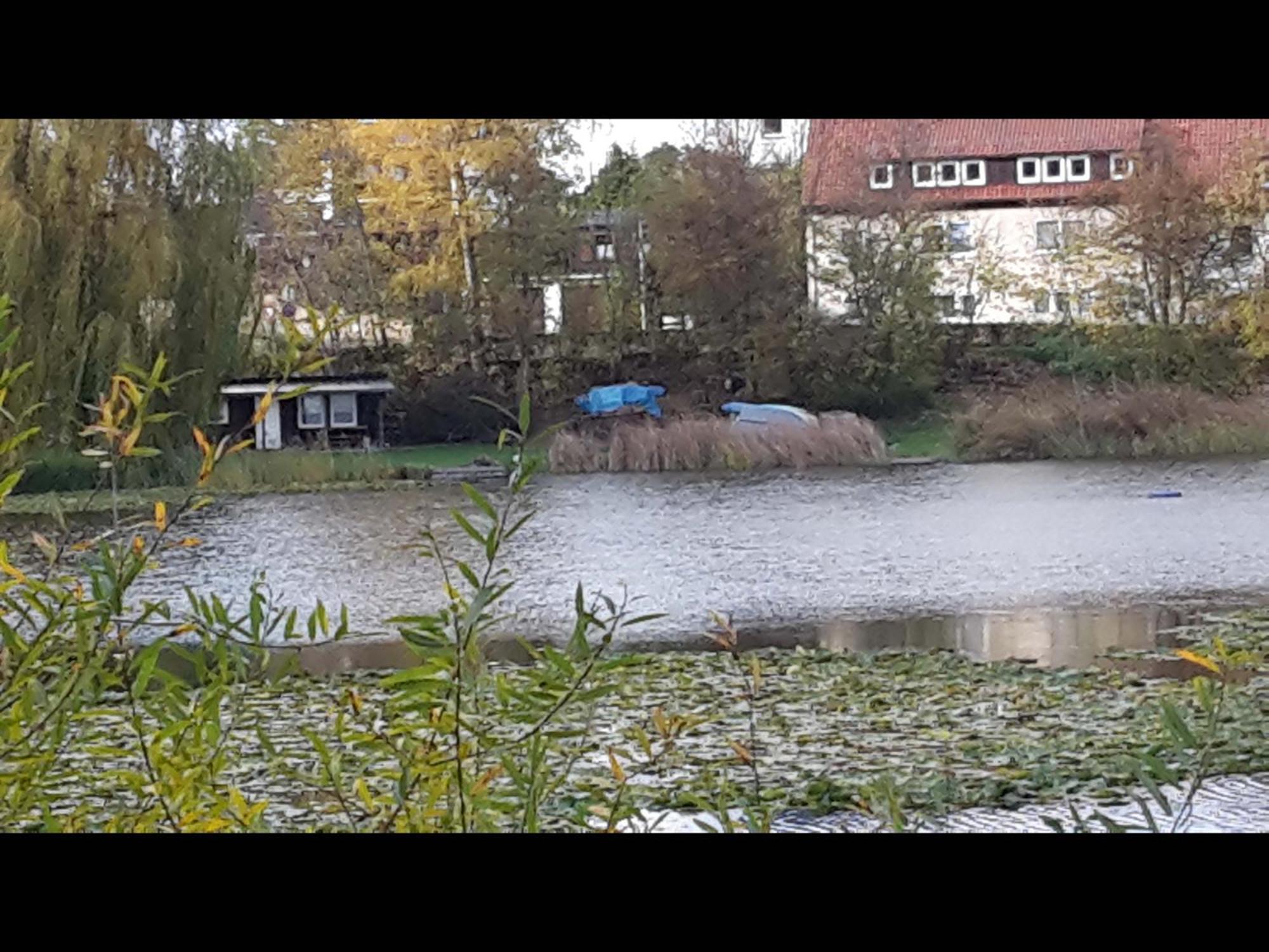 Neu! Ferienwohnung Teichblick In Bad Grund Exterior photo